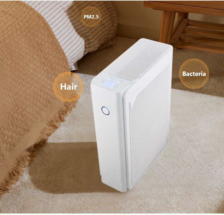 He386ea5ad41e457cb8ac92304f89d3fe2