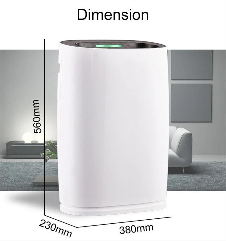 Rumah Penggunaan HEPA CARBON Air Purifier