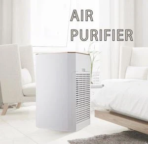 Air Puriifer Untuk Filter HEPA Area Keluarga Besar