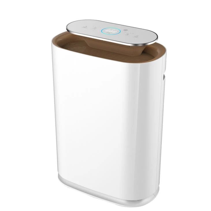 Standing Air Purifier with Anion