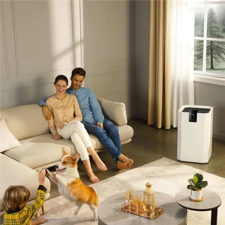 Home Large Size Air Purifier With Timer Function